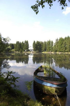 Гостиница Hotel Steineweiher, Санкт Вит